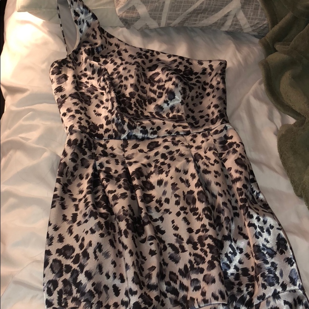 Zebra dress